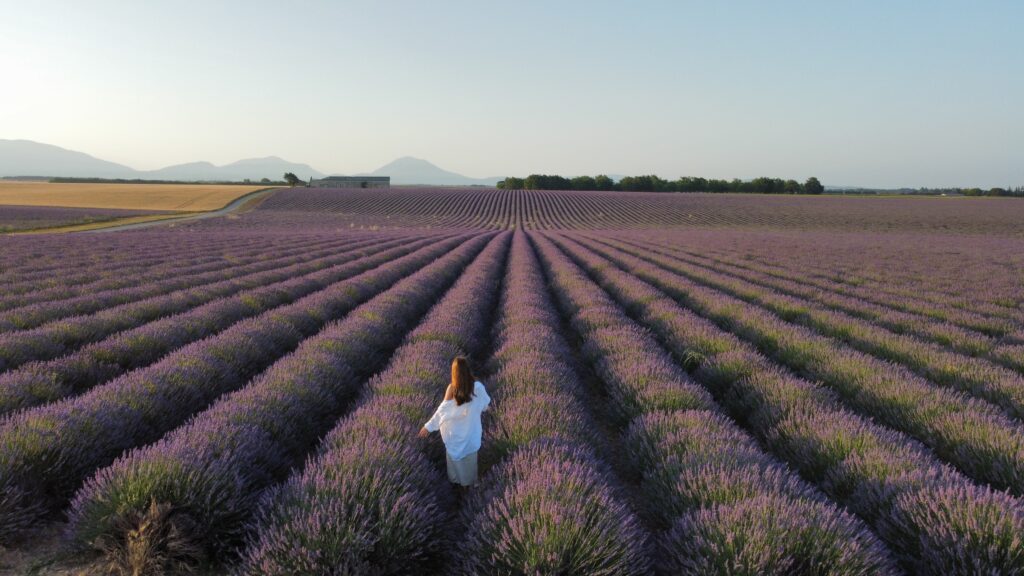 Франція Прованс Тур 